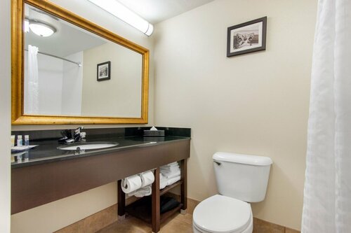 Гостиница Comfort Inn & Suites Norman near University в Нормане