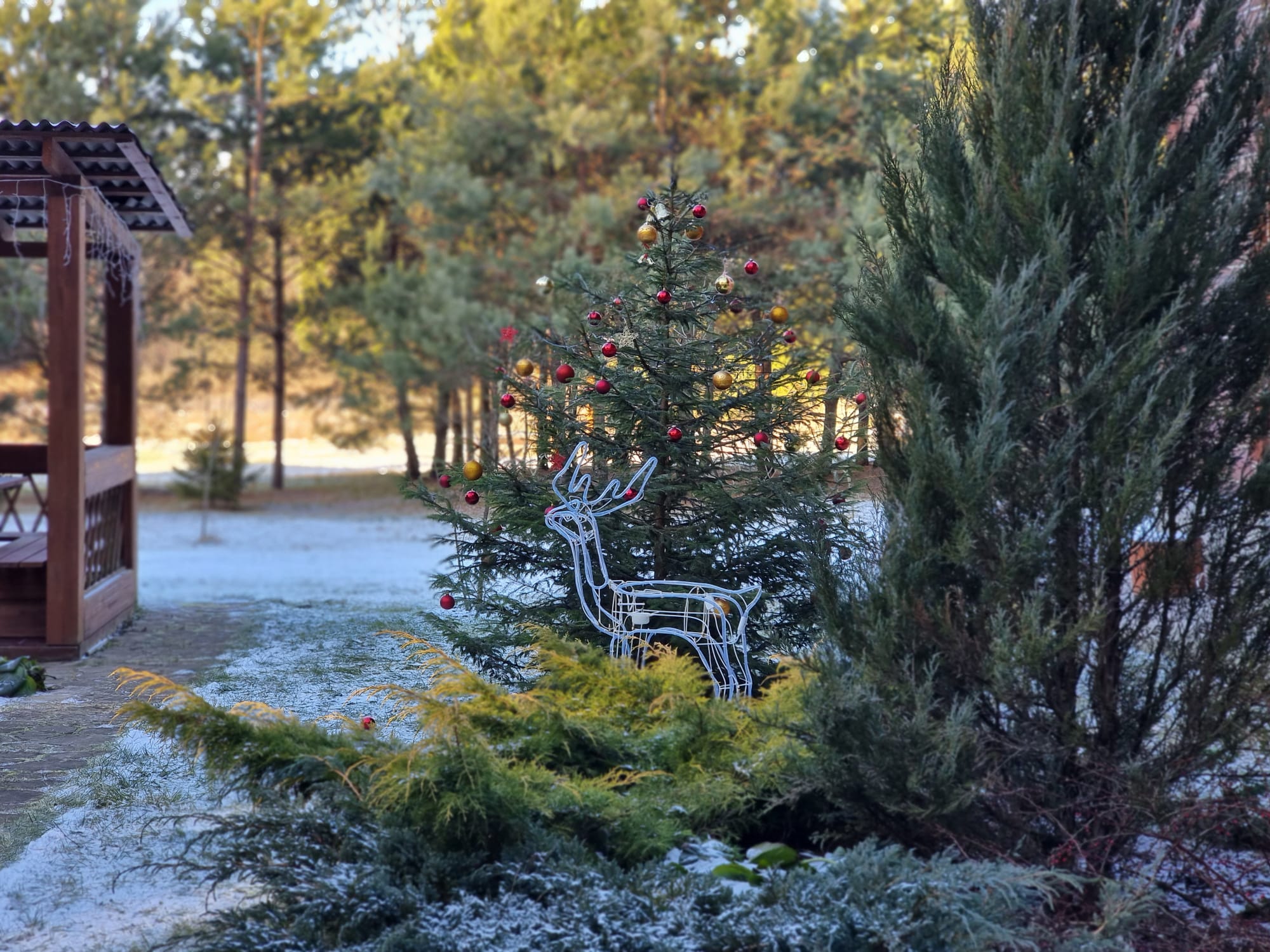 Фото Агроусадьба Лесной Эдем