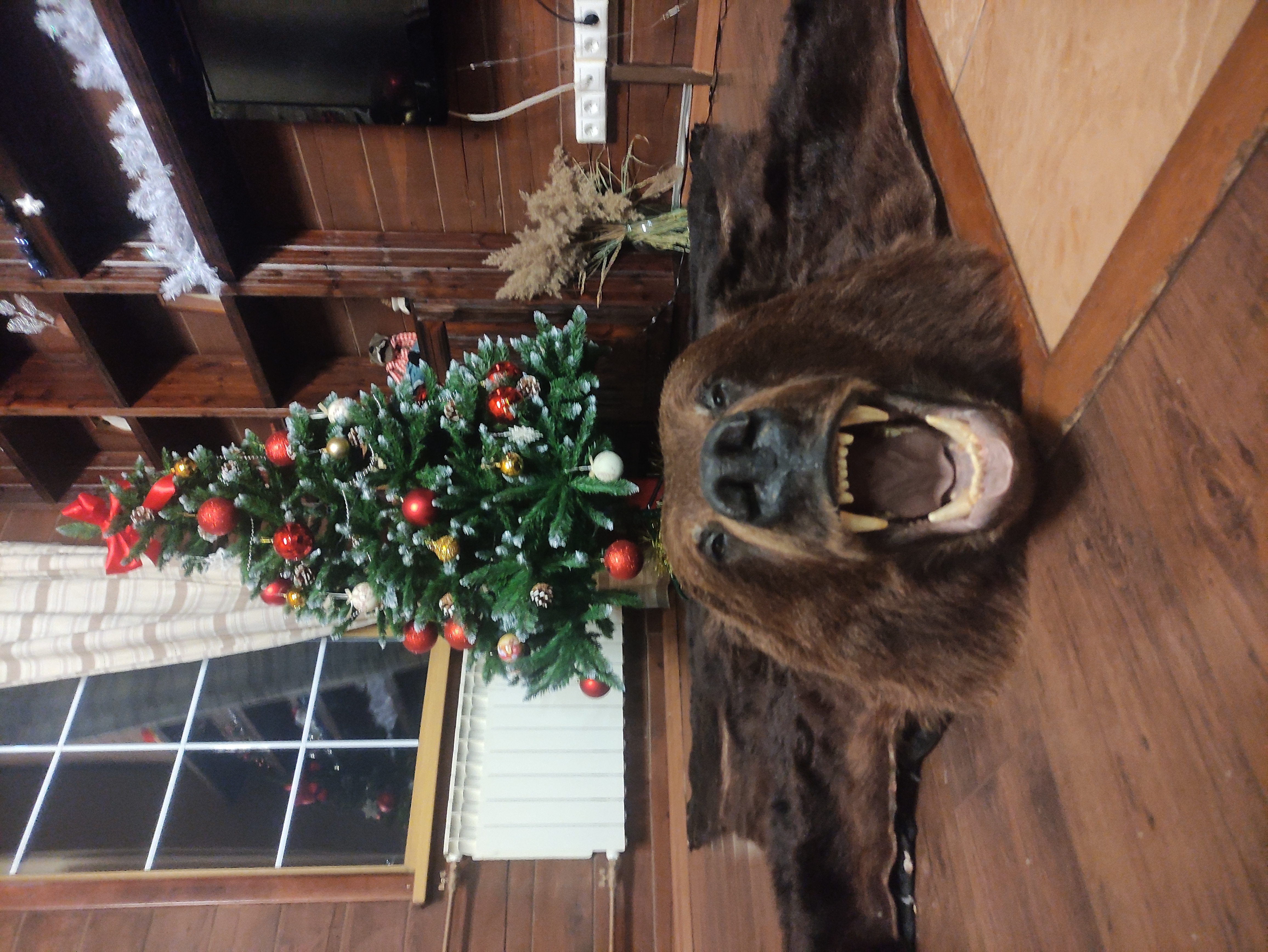 Фото Серебро