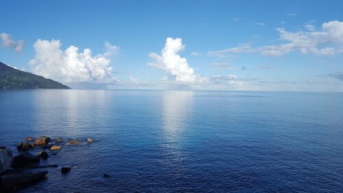 Гостиница Oceanica Resort Seychelles