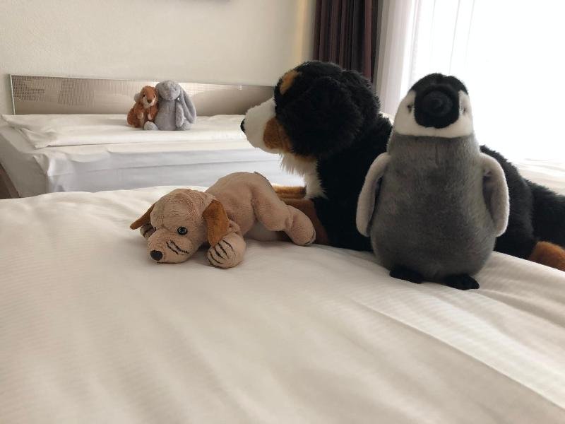 Фото отеля 5