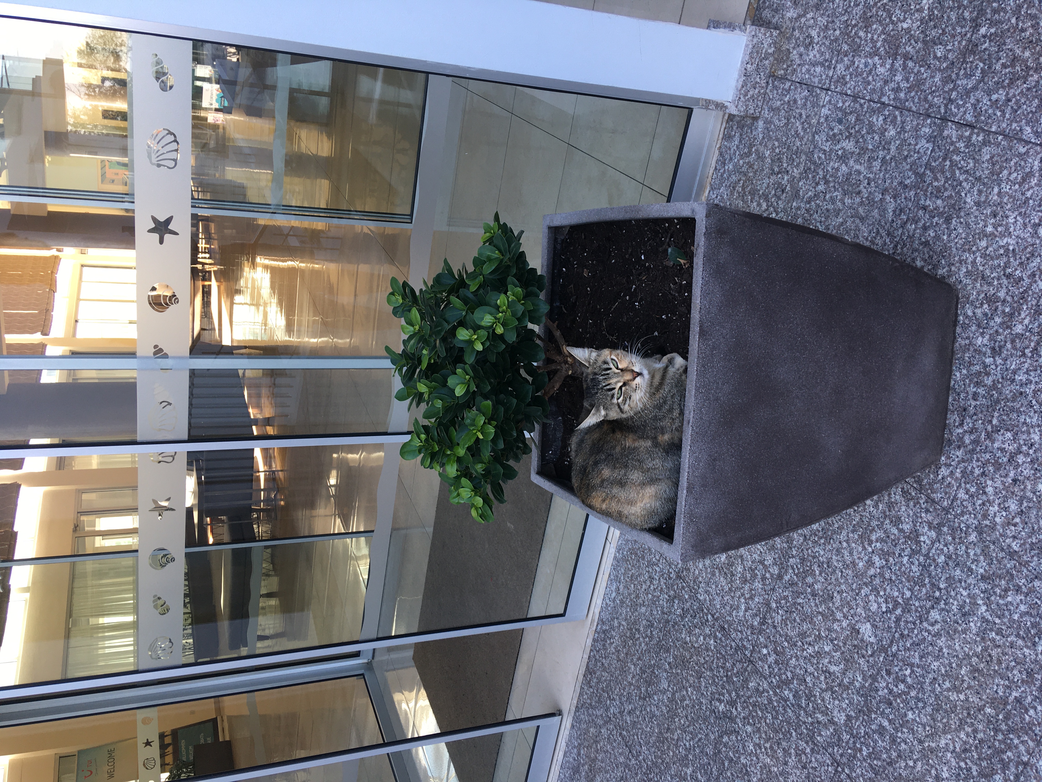 Фото Tofinis Hotel