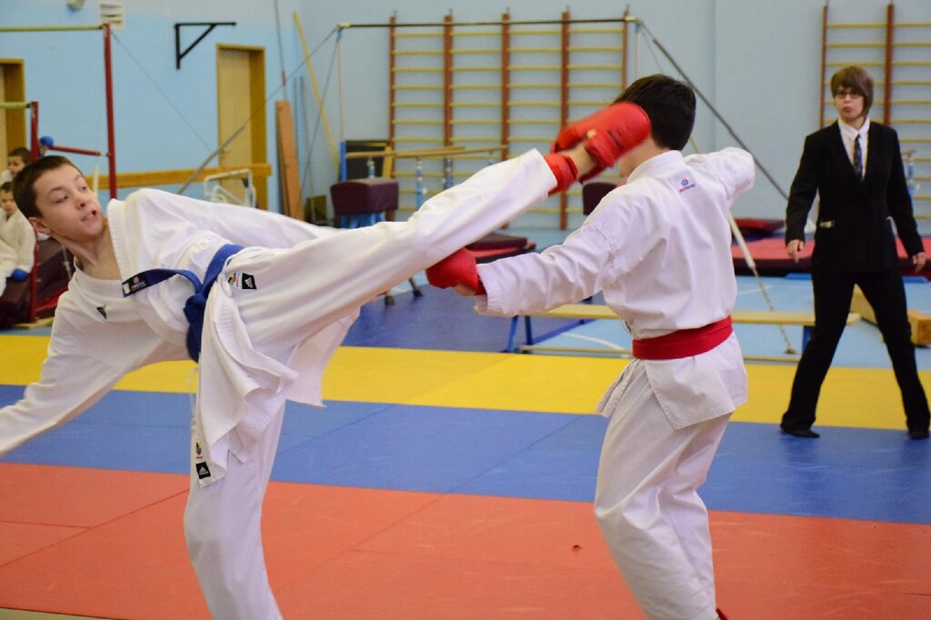 Sports association Клуб каратэ Тигр, Shcherbinka, photo