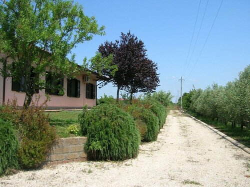 Гостиница B&b Il Vigneto Tuscania