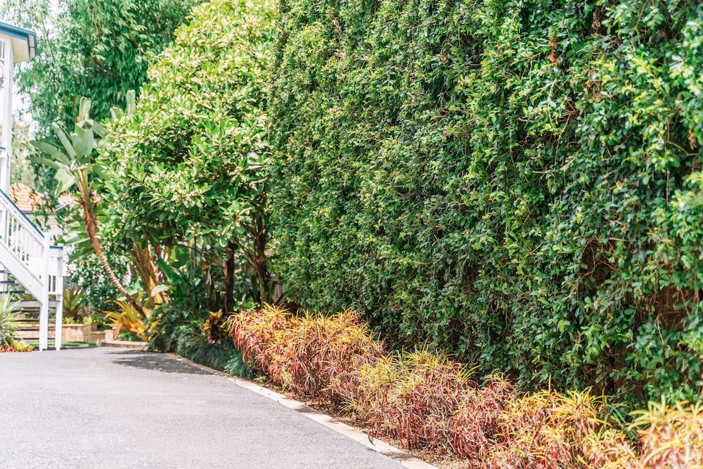 Фото Balmoral Queenslander