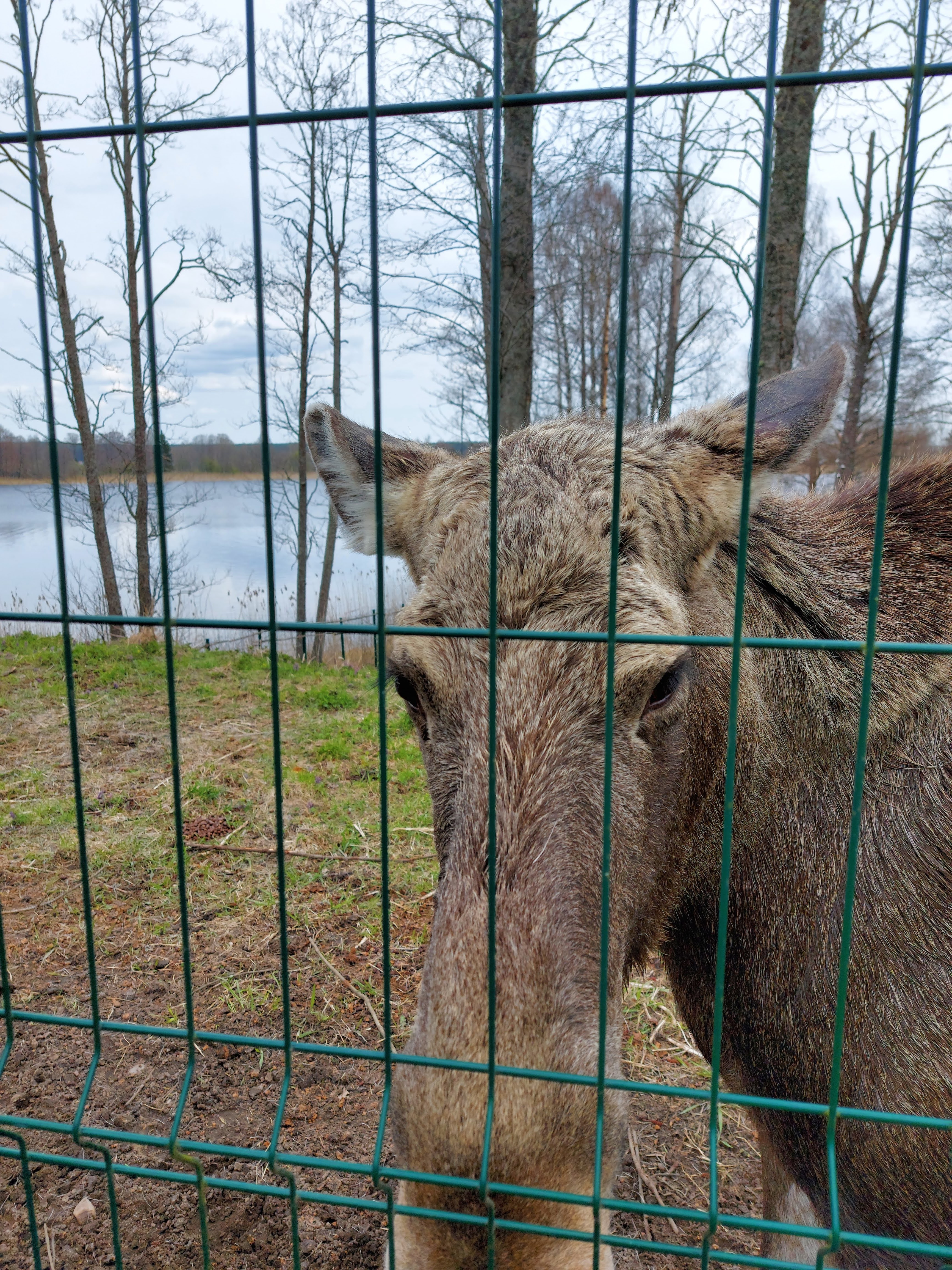 Фото Яр-Селигер