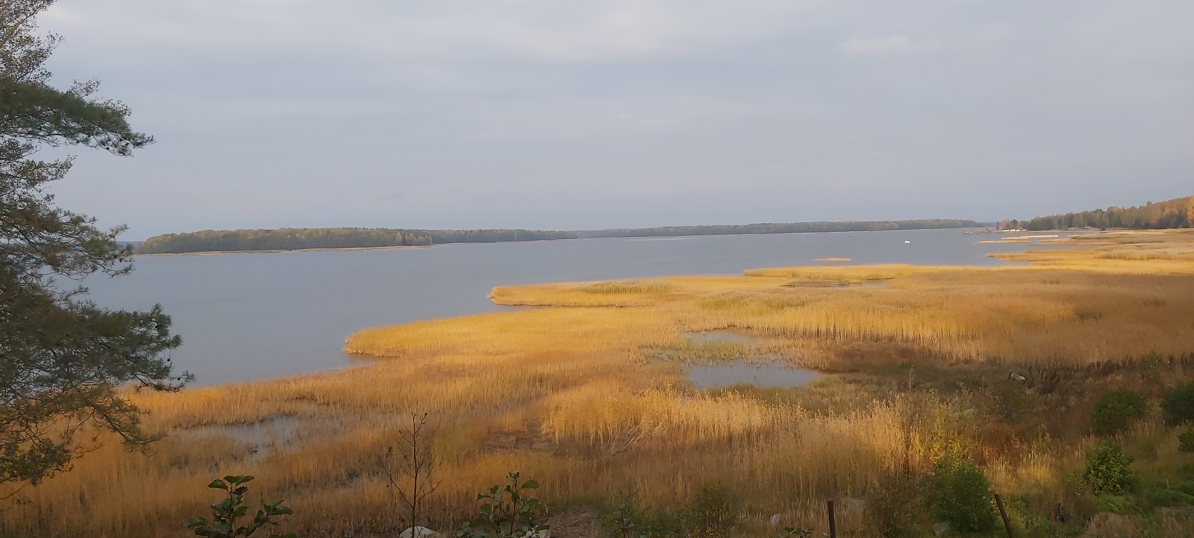 Фото Макслахти