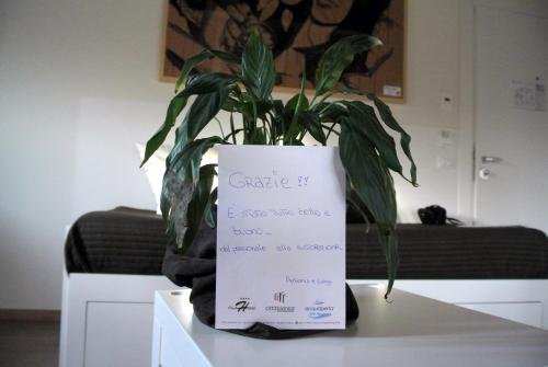 Фото Boutique Hotel E SPA Città Bianca