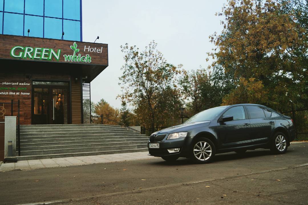 Фото Green Which