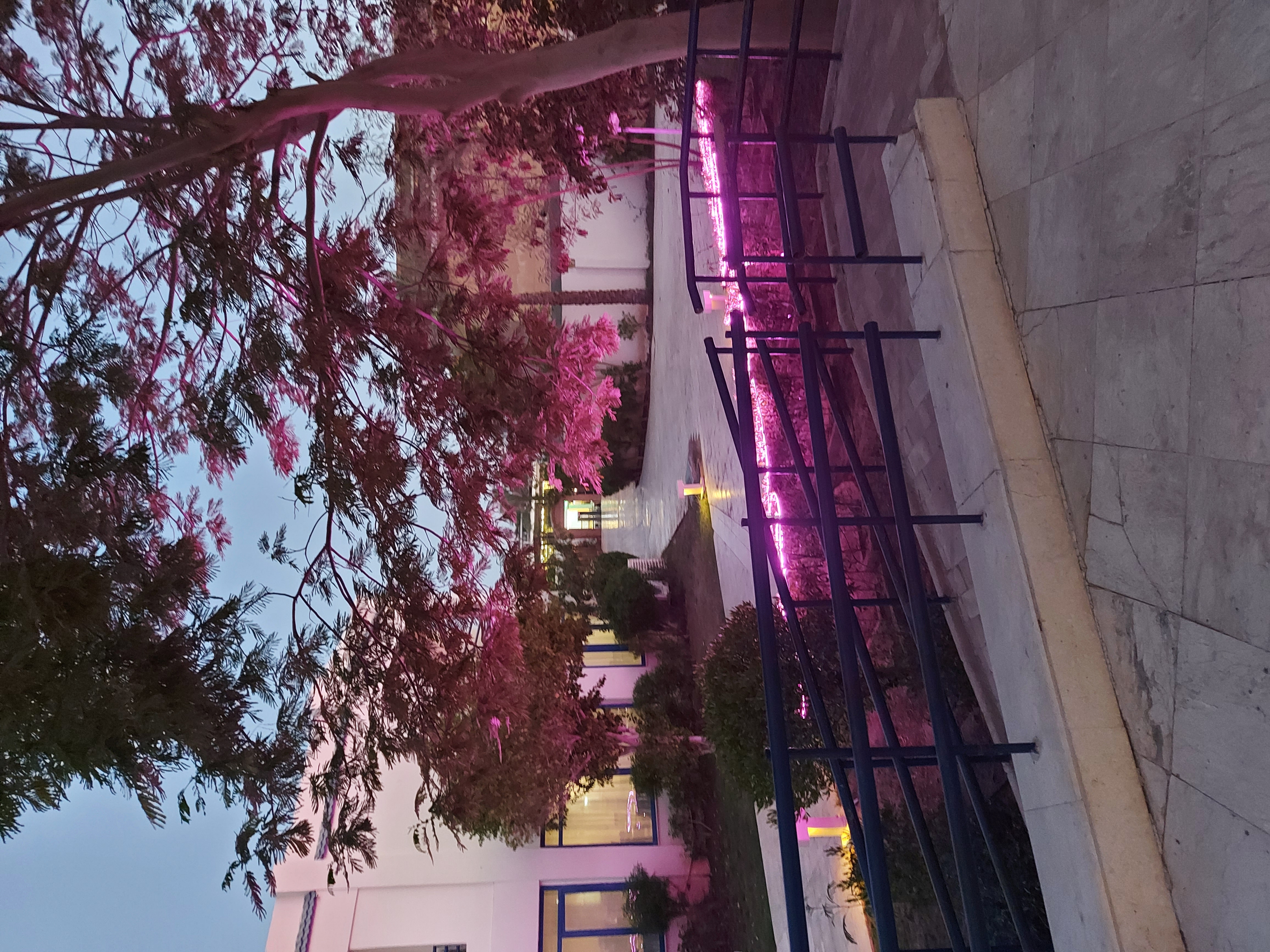 Фото Cataract Sharm Resort