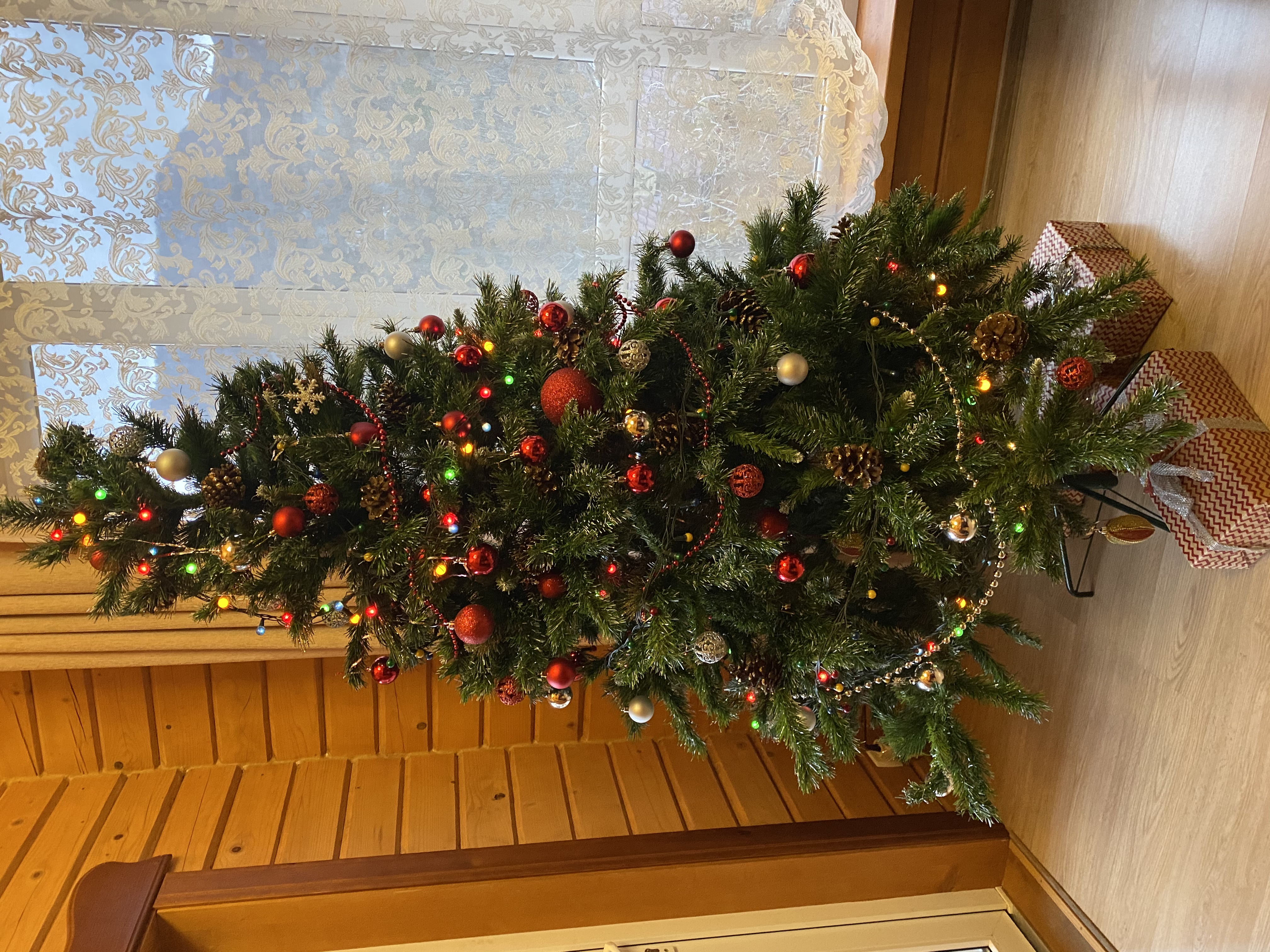 Фото Пальмира