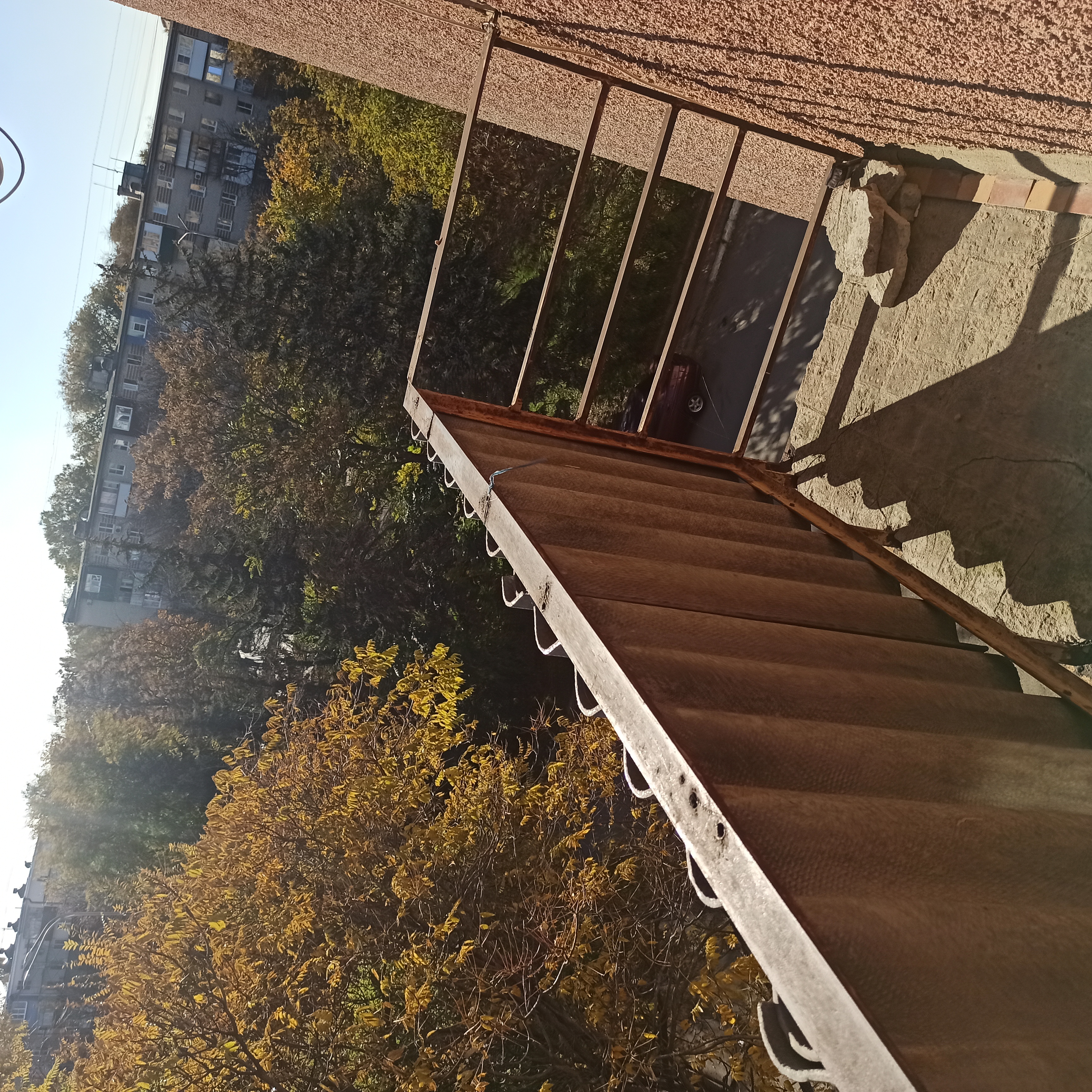 Фото Кубань