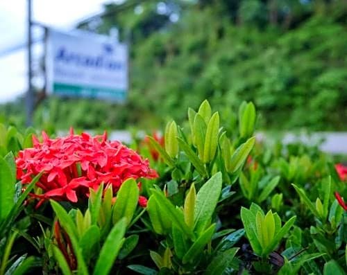 Фото Arcadian Resort