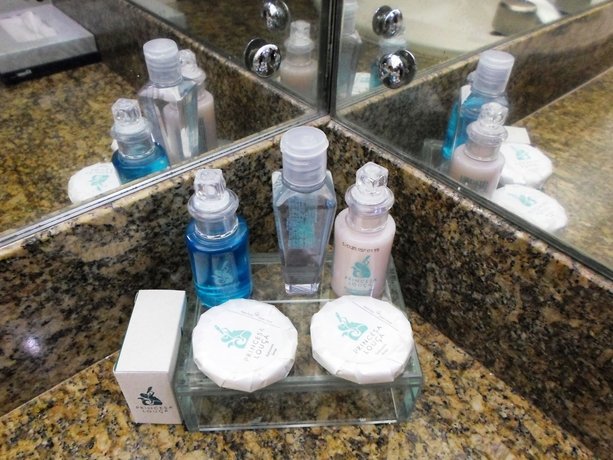 Фото Hotel Princesa Louçã