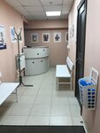 Vetto4ka (Osipenko Street, 6), veterinary clinic