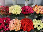 Bazar tsvetov (Novaya ulitsa, 12) ، محل زهور