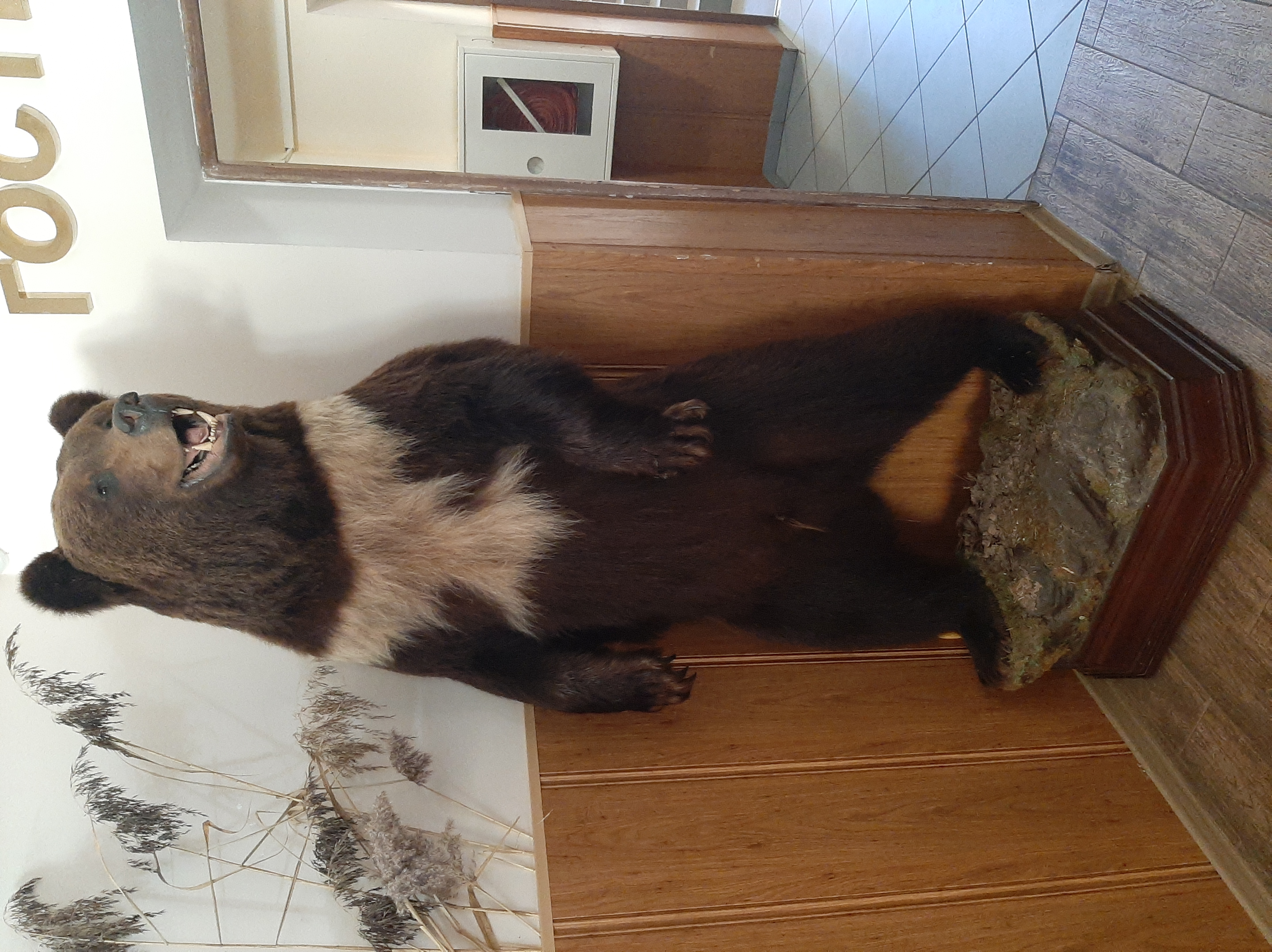 Фото Заповедные устья