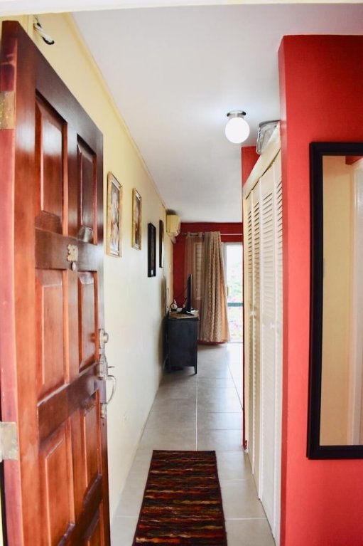 Фото New Kingston Guest Apartment IV