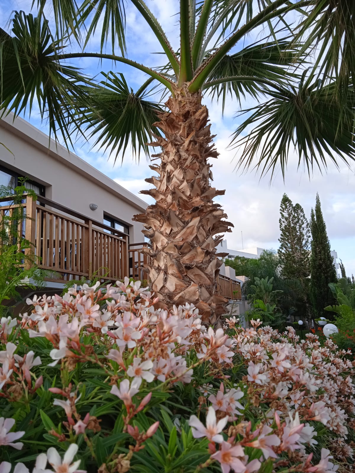 Фото Melissi Beach Hotel & SPA