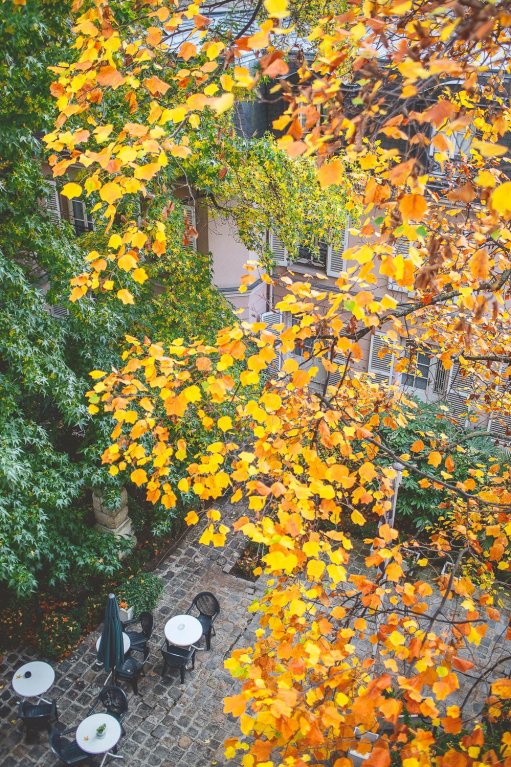 Фото Hôtel des Grandes Ecoles