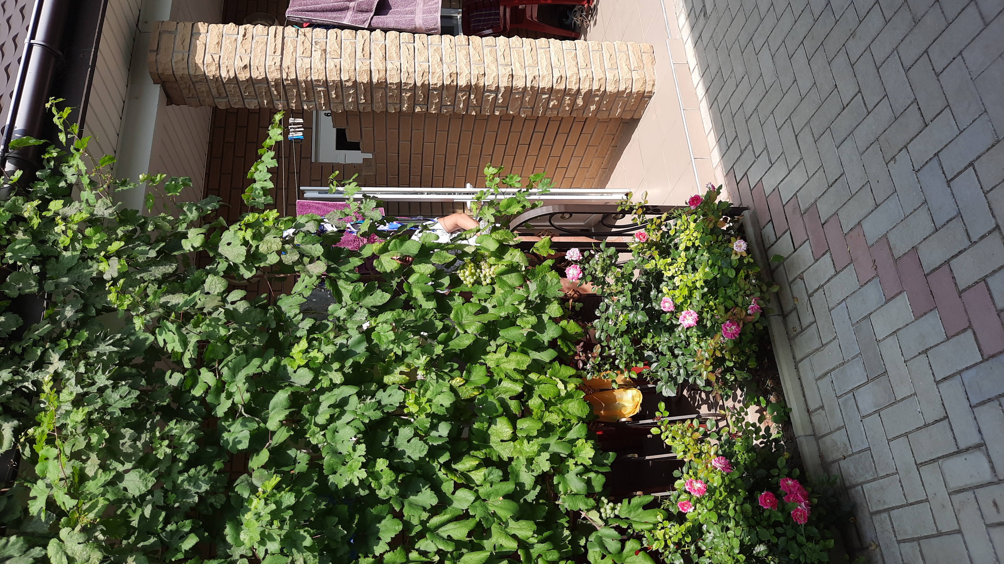 Фото Александрия