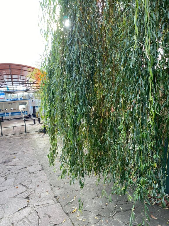 Фото Ваша Гавань