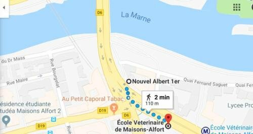 Гостиница Le Grand Albert 1er в Мезоне-Альфоре