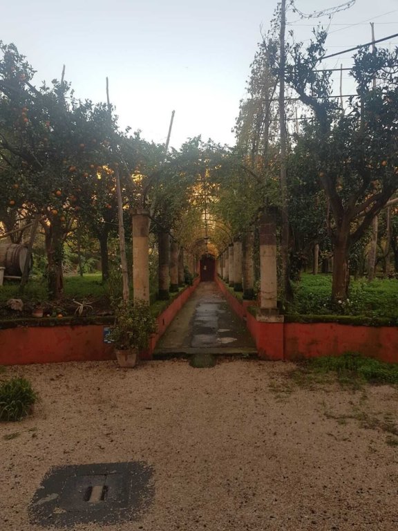 Фото Caluga House