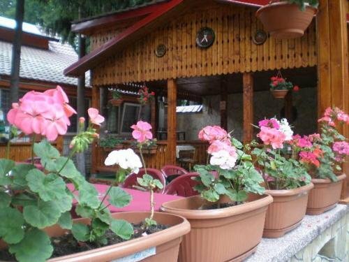 Гостиница Complex Turistic Caprioara в Марамуреше