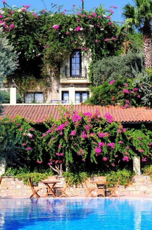 Фото Zeytinada Hotel