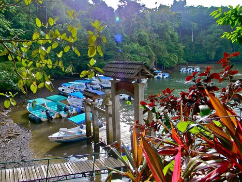 Гостиница Aguila de OSA Rainforest & Marine Adventure Lodge