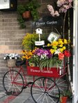 Moulinfleuri (Moscow, Rodionovskaya Street, 12), floristeria