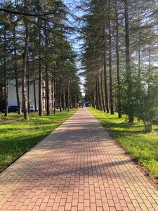 Киараз Старт