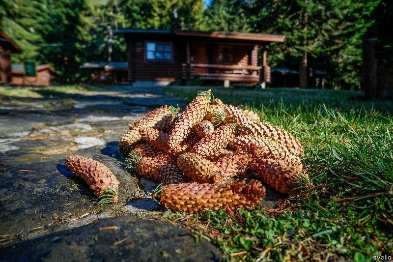 Фото Yagoda & Malina Villas