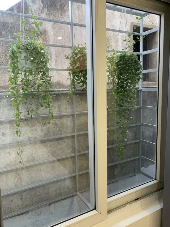 Фото King Hotel Saigon Airport