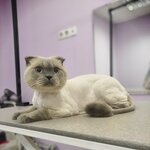 Марсель (Village of Nemchinovka, Sovetskij Avenue, 102), pet salon
