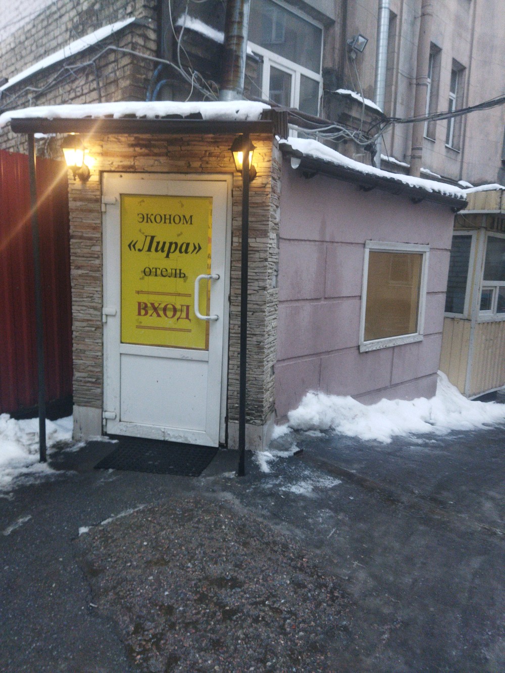 Фото Лира