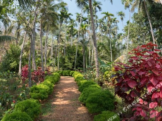 Фото Kahani Paradise