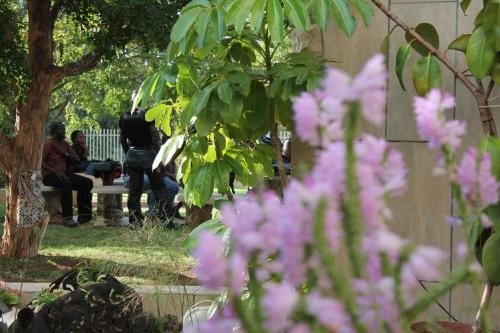 Фото Eldorado Lodge Cc