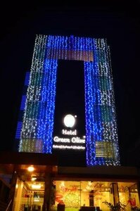 Гостиница Hotel Green Olive