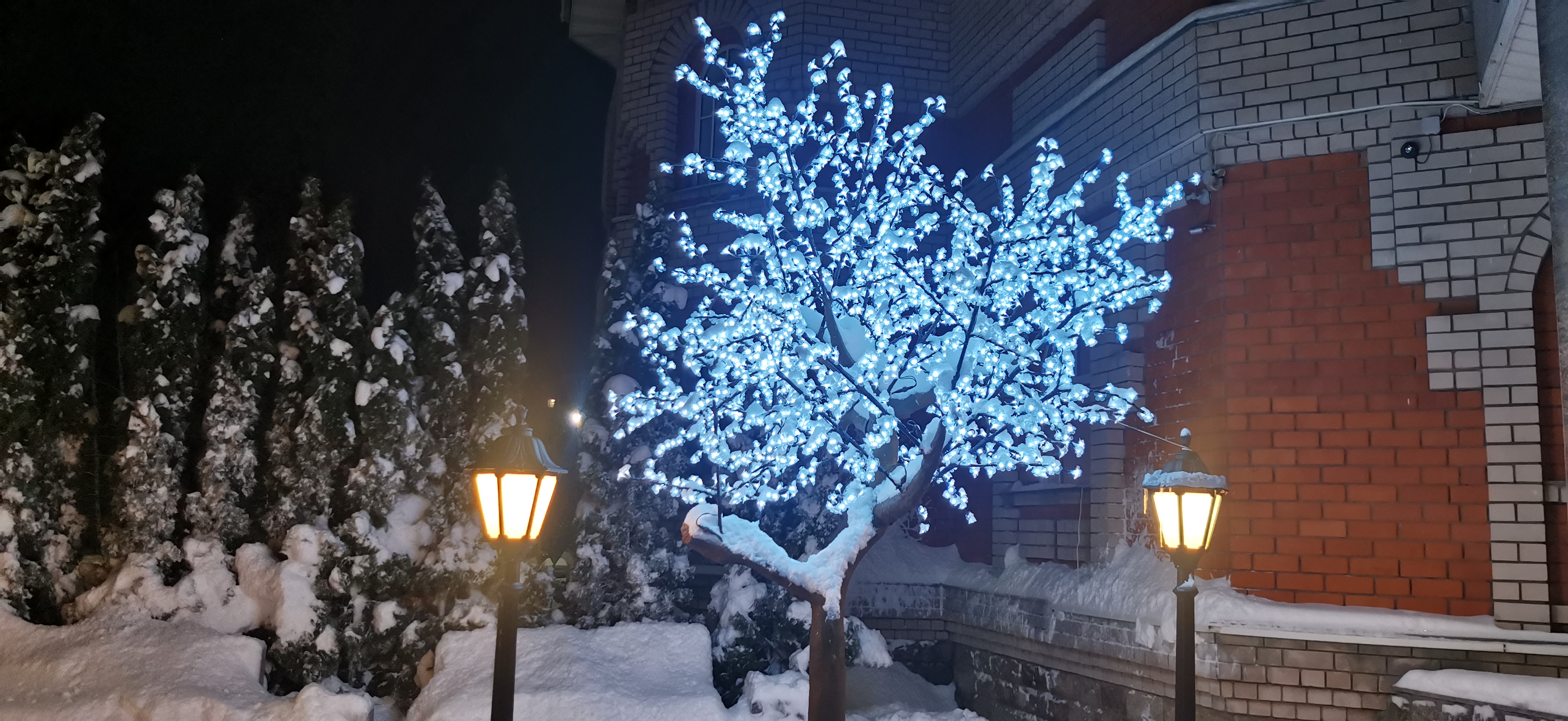 Фото Светлица