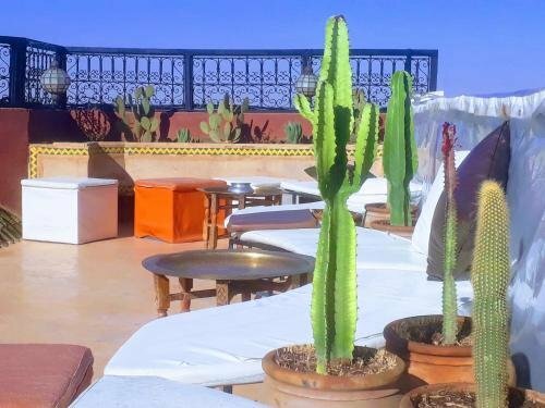 Гостиница Equity Point Marrakech в Марракеше