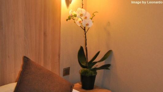 Фото Villa des Ambassadeurs