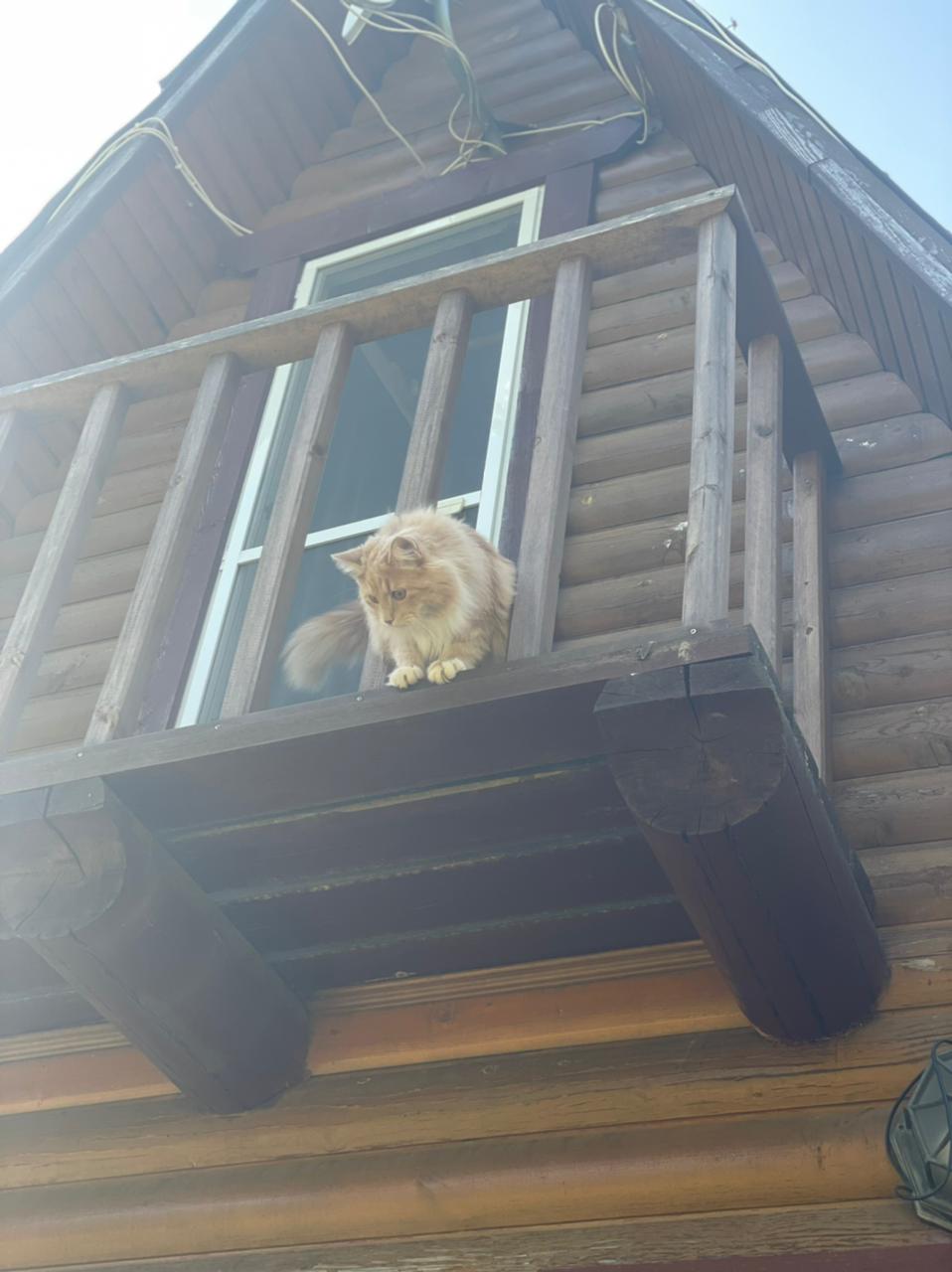 Фото Зимняя сказка