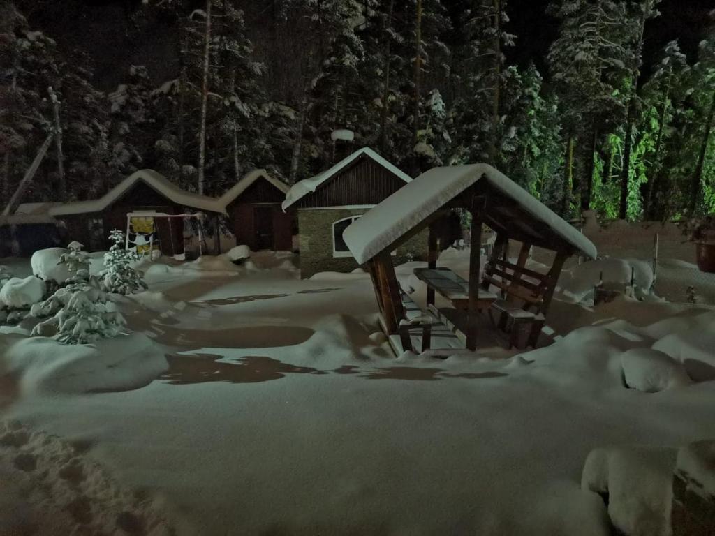 Фото НаМиРа