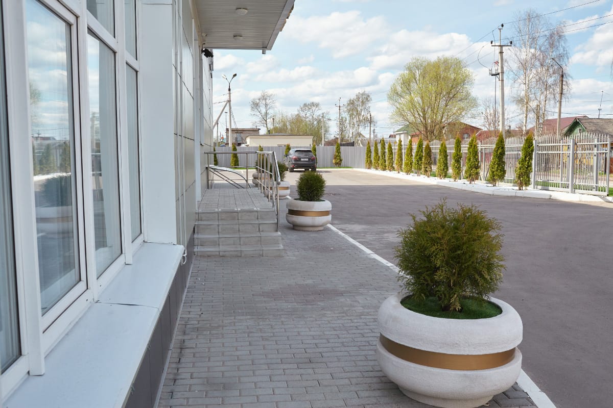 Фото Араз Палас