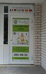 CleverLand (Geroya Sovetskogo Soyuza Sutyrina Street, 15), foreign language courses