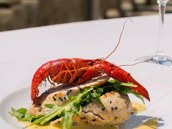 Фото Sheraton Metairie - New Orleans Hotel