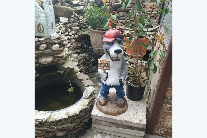 Фото Любовь и голуби