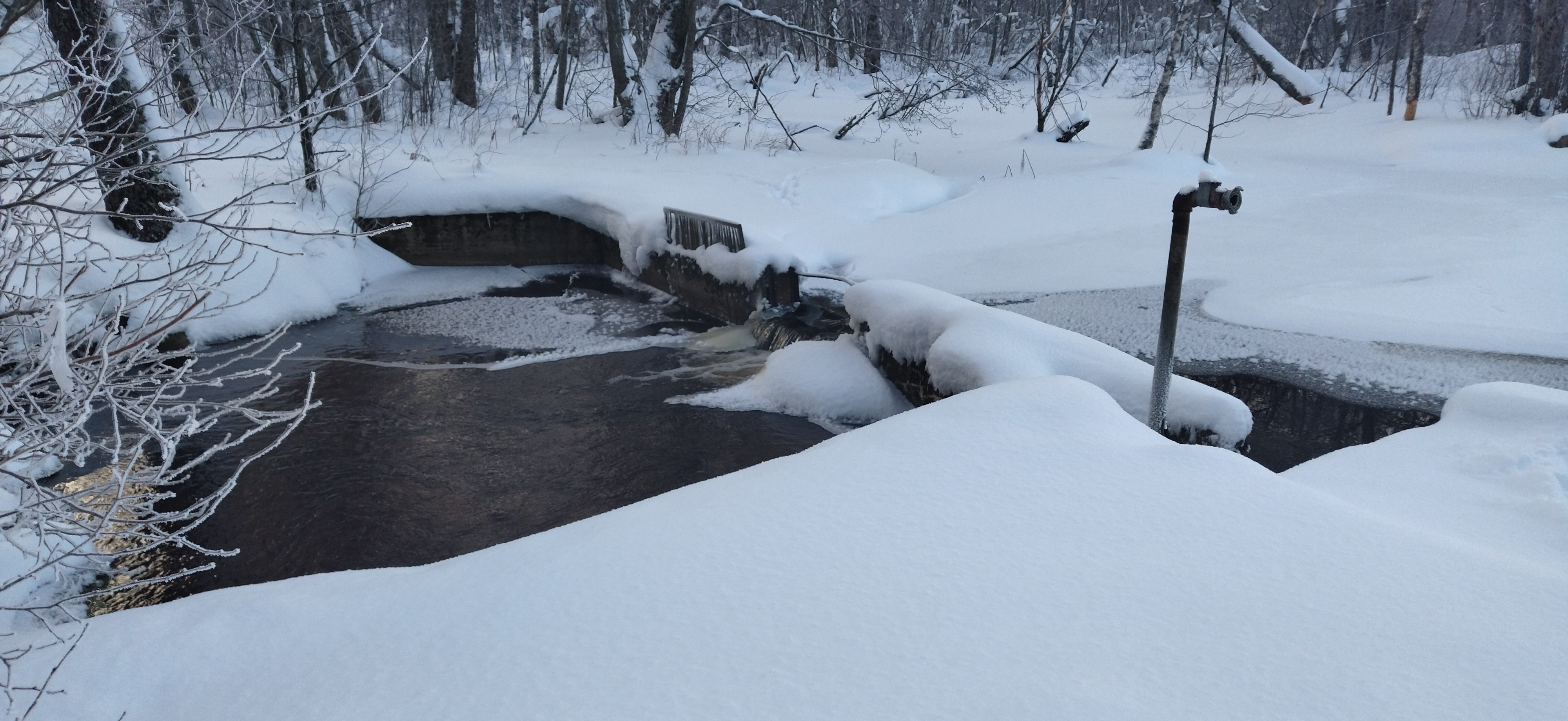 Фото Спартак
